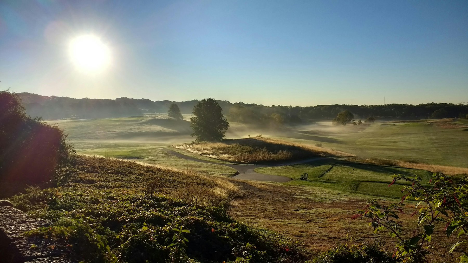 Low sun over a quiet golf course in the early morning.