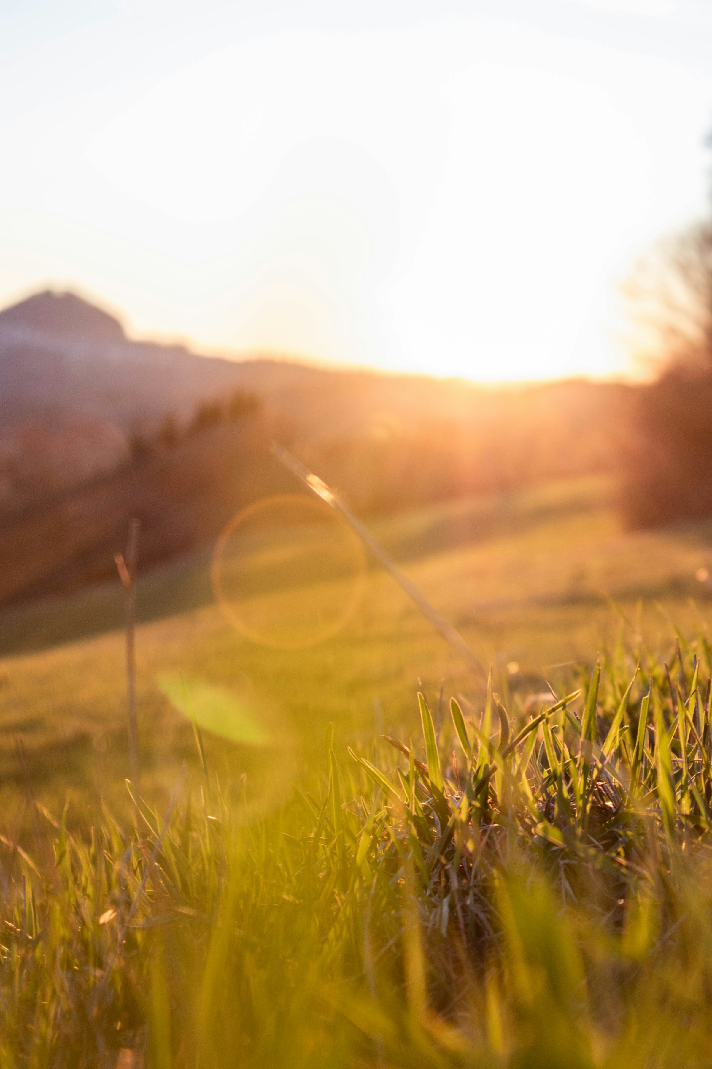 Sunlight breaking low across an open field at dawn.